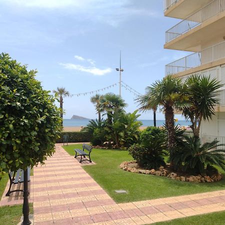 Living Benidorm. Playa Levante المظهر الخارجي الصورة